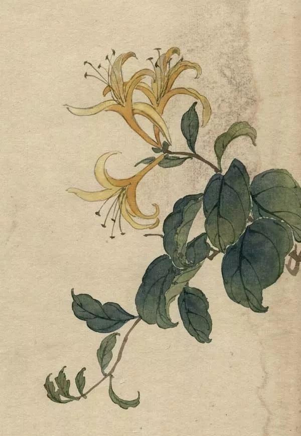 通透深刻的人生语录，经典睿智，干货满满！