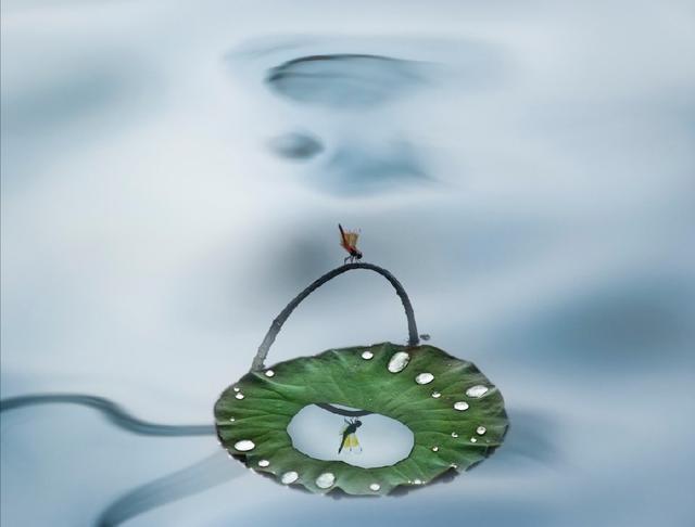 一看就很有道理的人生语录，让你的心情豁然开朗！