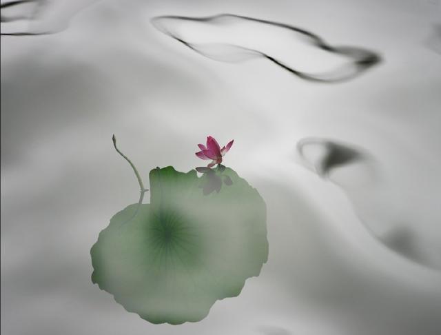 一看就很有道理的人生语录，让你的心情豁然开朗！