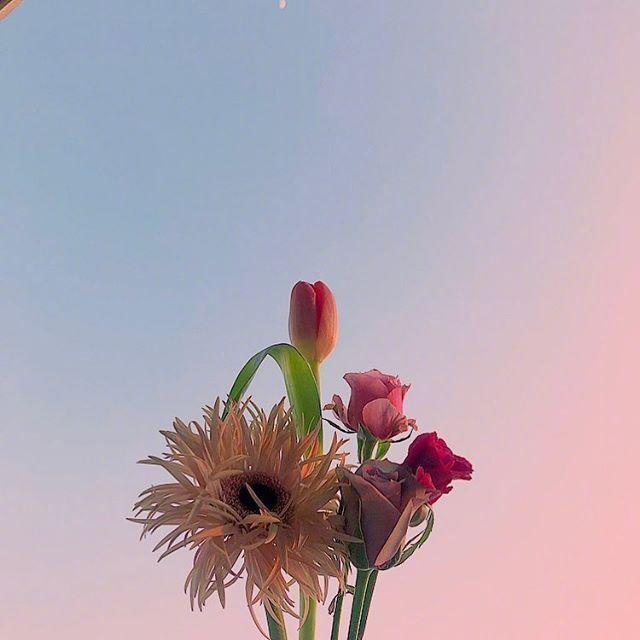 积极努力的正能量文案，瞬间激发你的斗志！