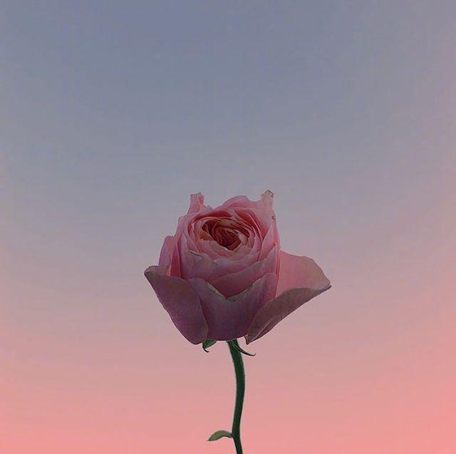 积极努力的正能量文案，瞬间激发你的斗志！