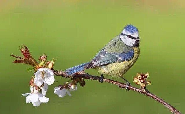 精致难忘的人生箴言，暗含深意，一般人看不懂！
