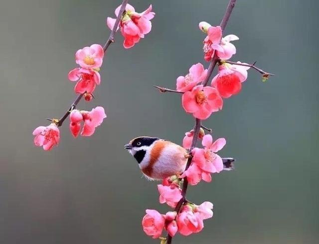 精致难忘的人生箴言，暗含深意，一般人看不懂！