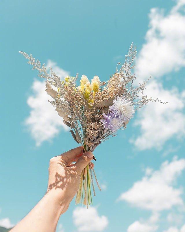 阳光美好的早安文案，让人忍不住点赞！