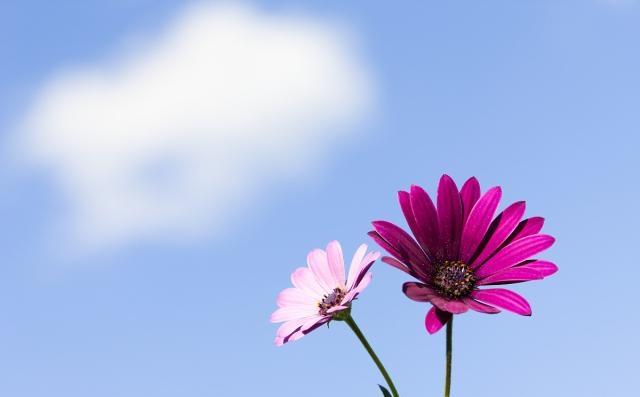 努力上进的励志语录，送给默默奋斗，矢志不渝的你！