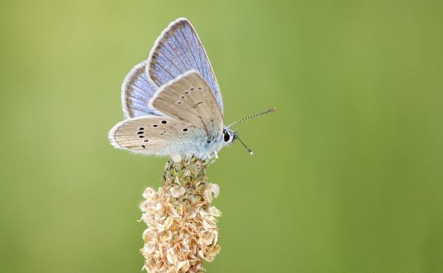 深刻有品味的人生句子，读后让人深思！