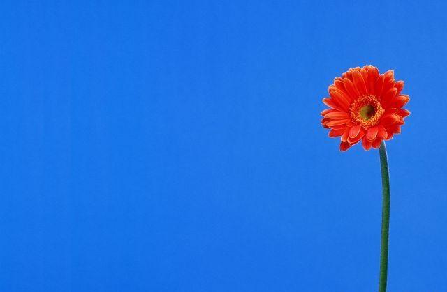 早安唯美的句子，元气满满，愿你心向阳光！