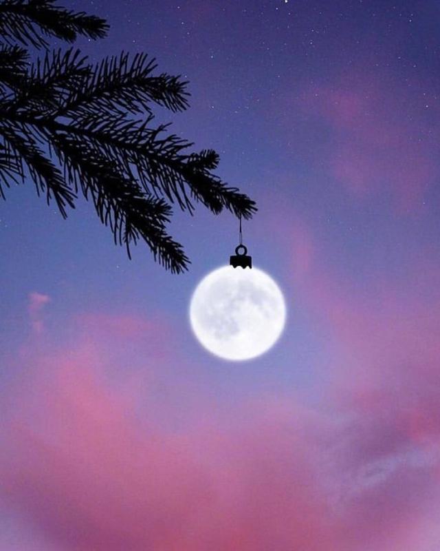 那些对人生的深刻感悟,字字珠玑,句句箴言!