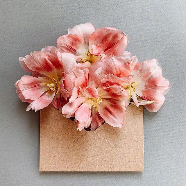 温暖至极的句子，优雅大气，越品越有味！