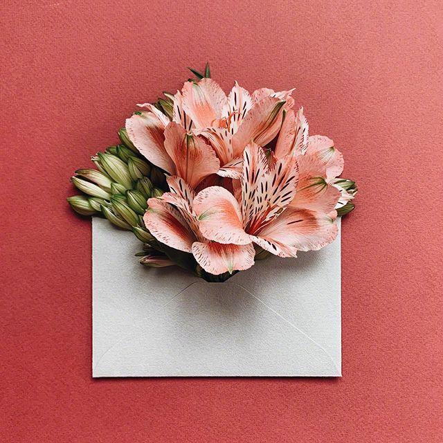 温暖至极的句子,优雅大气,越品越有味!