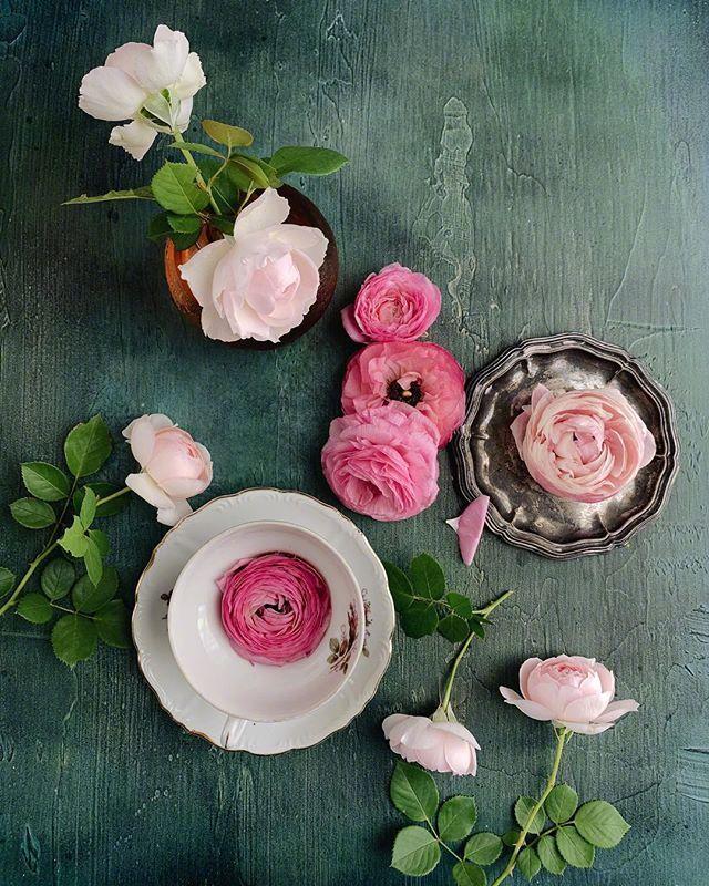 悟透人生的精致语录，哪一句让你茅塞顿开？