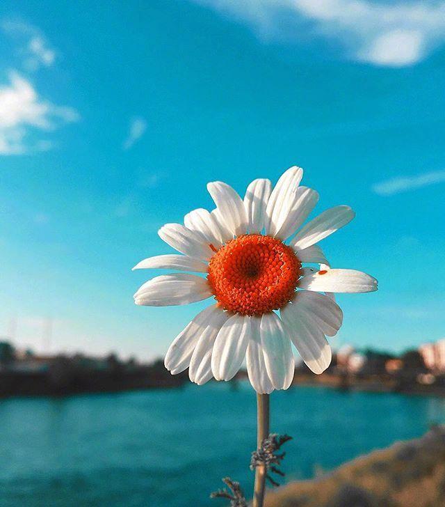 让自己努力变优秀的励志文案，看完心潮澎湃！