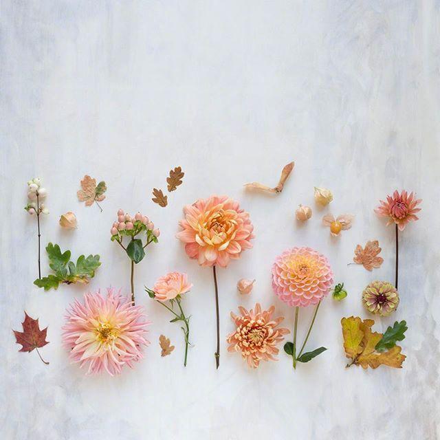 适合收藏的宝藏句子，精致明媚，让人耳目一新！