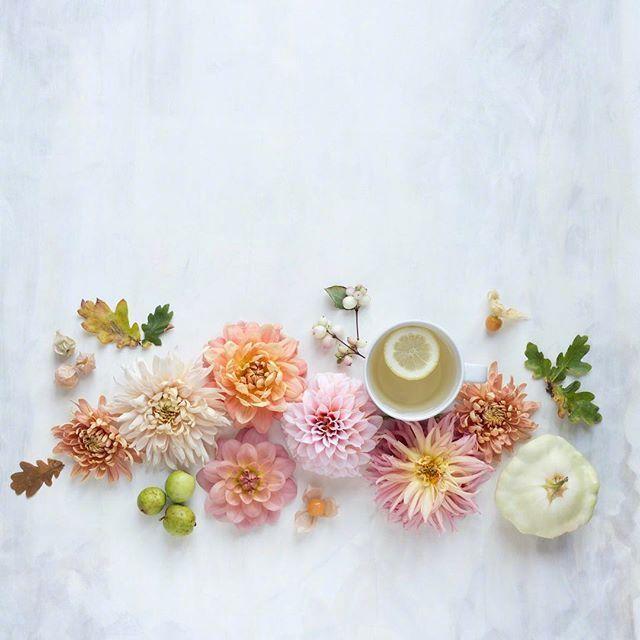 适合收藏的宝藏句子，精致明媚，让人耳目一新！