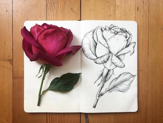 让人赞到手软的经典语录，现实扎心，句句受用！