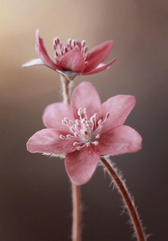 能使人深思的哲理句子，修身养性，值得珍藏！
