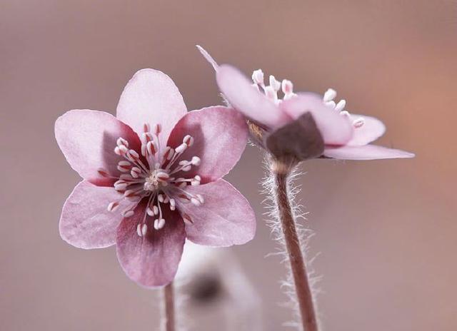 能使人深思的哲理句子，修身养性，值得珍藏！