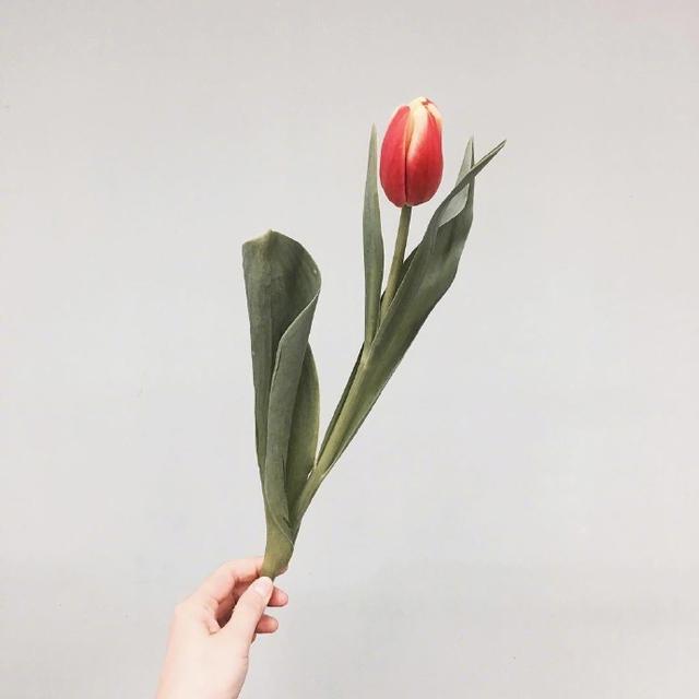 建议分享的经典句子，深刻透彻，让人感慨良多！