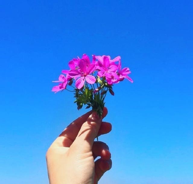 激发斗志的正能量句子，霸气而又有志气！