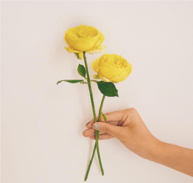 建议收藏的24个经典语录，句句蕴含哲理（深度好文）