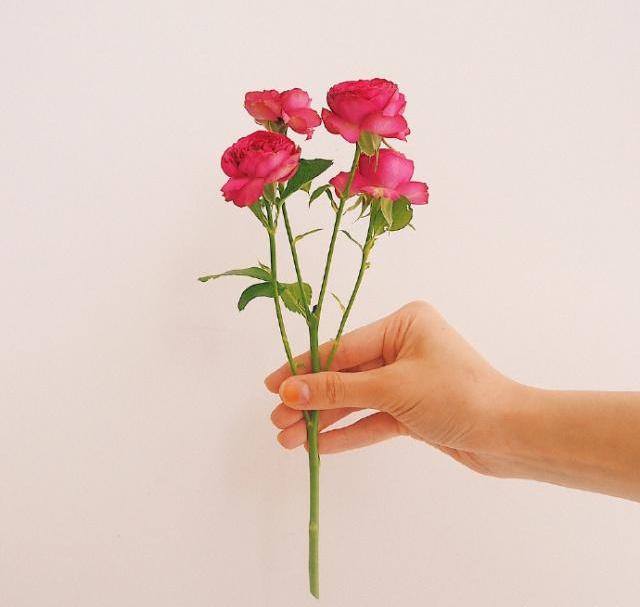 七月写给自己的人生格言，修身养性，值得珍藏！