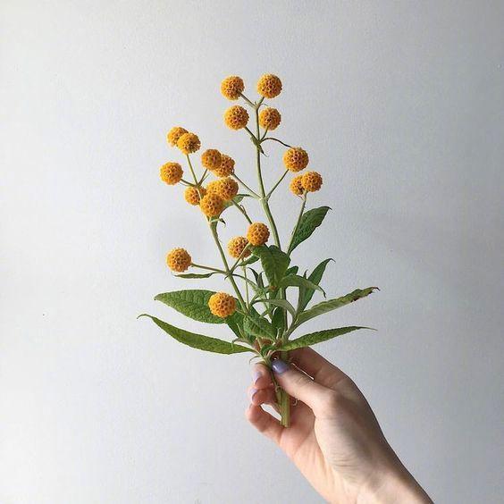 七月让人念念不忘的句子,带给你不一样的感觉!