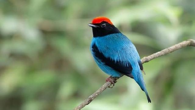 深刻入骨的经典人生感悟，令人拍案叫绝！