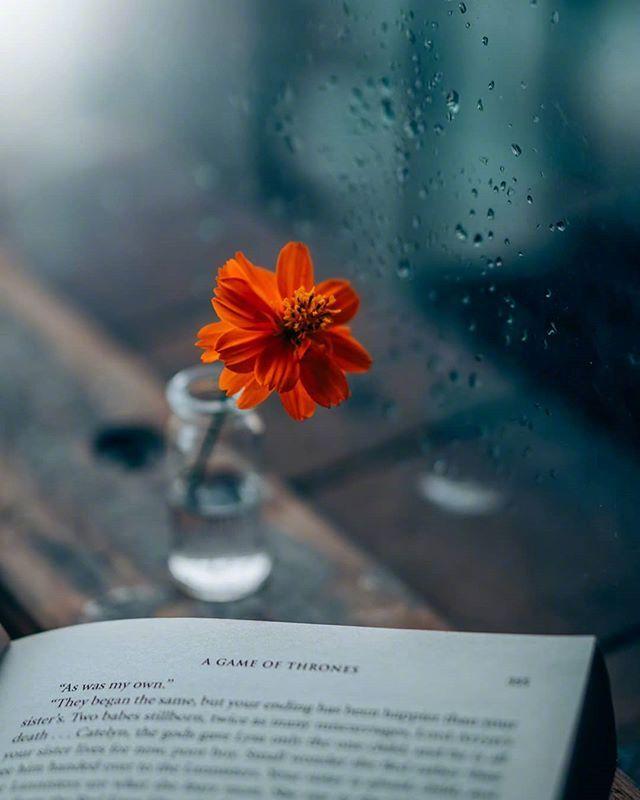 最让人心疼的伤感短句，读后泪如雨下！