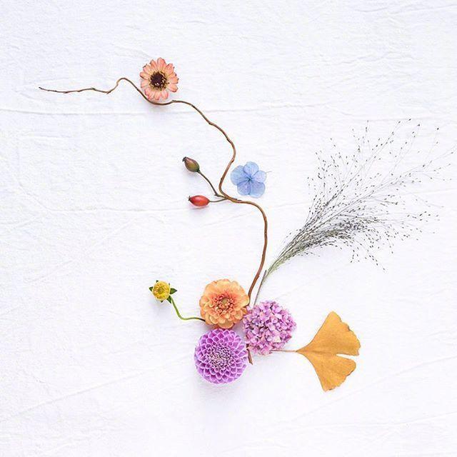 让人陶醉的24句话,选一句发朋友圈吧!