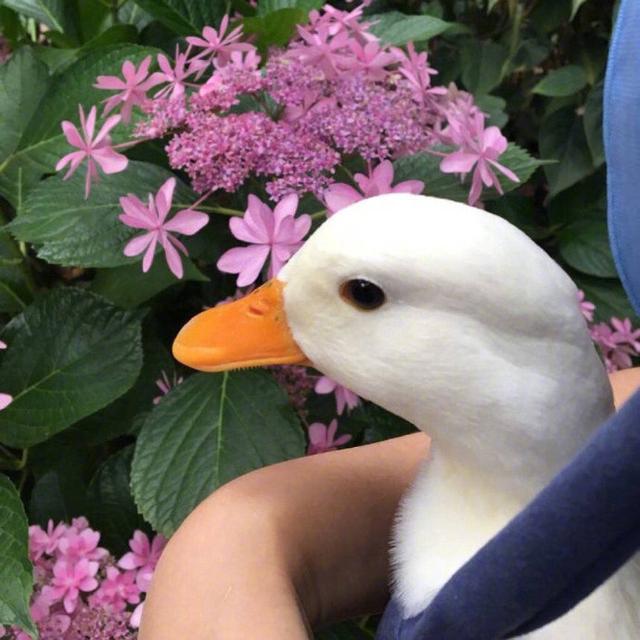 经典通透的人生哲理句子，一生至少要读一次！