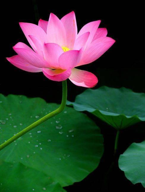 经典通透的人生感悟说说，蕴含哲理，受用一生！