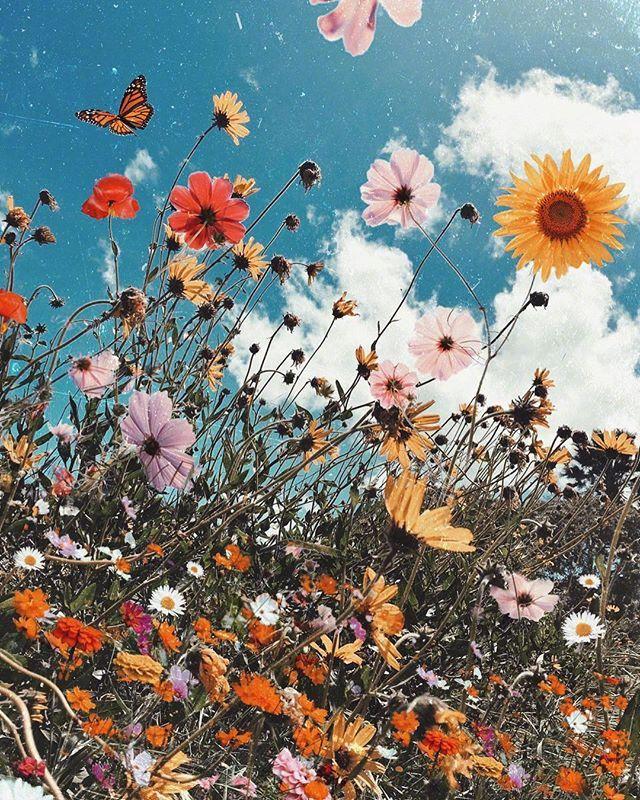 简短文艺的早安语录，字字温暖，句句阳光！