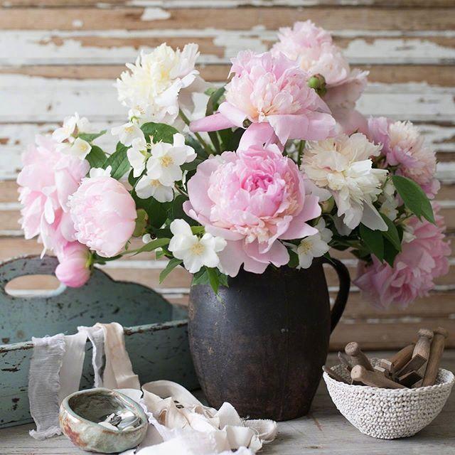 朋友圈干净走心的心情语录，暖心大气，人见人爱！