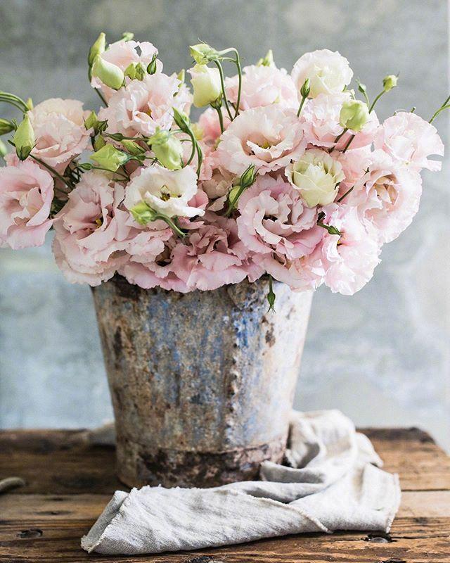 朋友圈干净走心的心情语录，暖心大气，人见人爱！