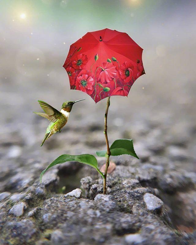 2020年最火的人生感悟，句句穿心，一般人读不懂！