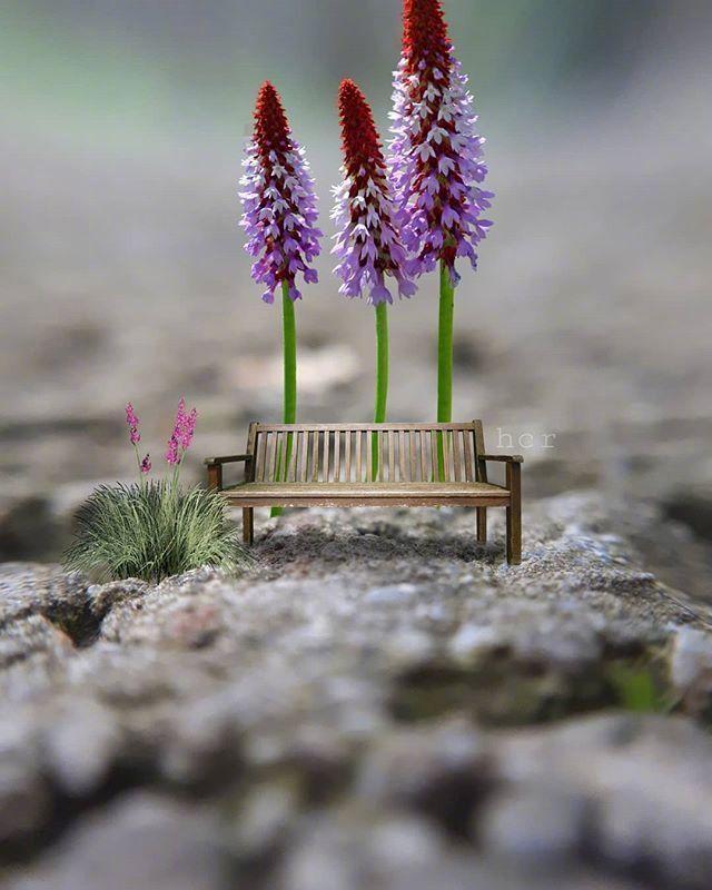 2020年最火的人生感悟，句句穿心，一般人读不懂！