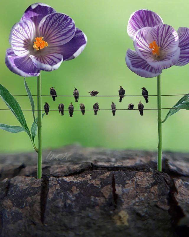 2020年最火的人生感悟，句句穿心，一般人读不懂！