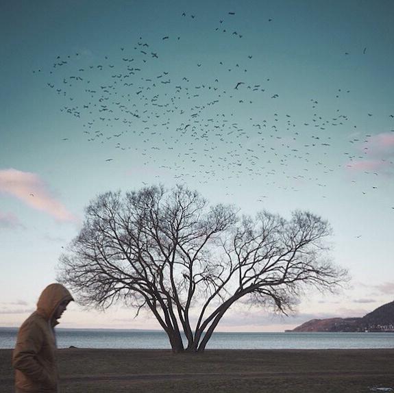 六月最赞的21句话，现实透彻，引人共鸣！