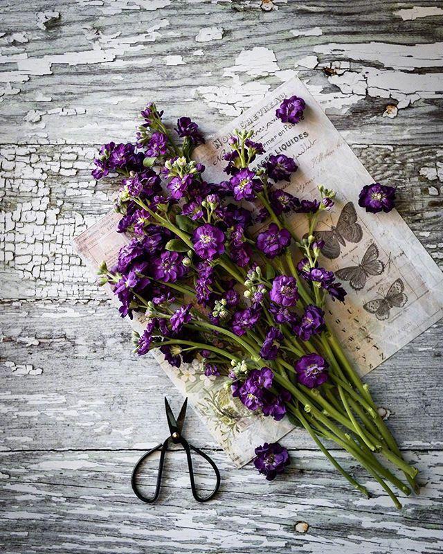 通透明理的说说短语，让你悟透人生，看懂世事！