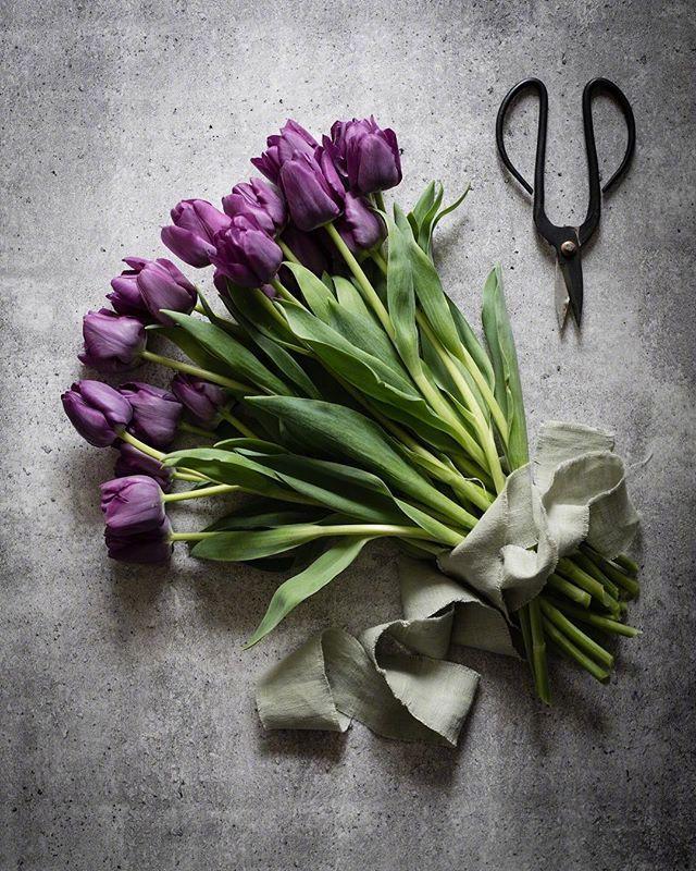 通透明理的说说短语，让你悟透人生，看懂世事！