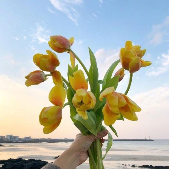 值得分享的早安说说，简短精湛，适合发朋友圈！