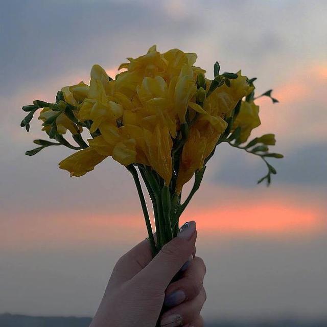 阳光正能量的早安语录，积极向上，激励人心！