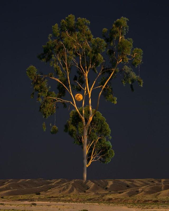 清晨励志正能量的句子，激发斗志，发朋友圈超赞！