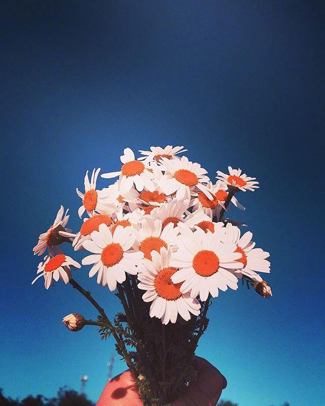 好心态的早安心语，积极阳光，适合发朋友圈！