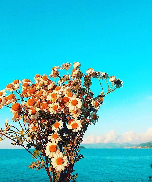 好心态的早安心语，积极阳光，适合发朋友圈！