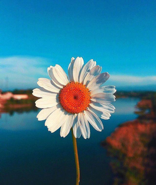 早安致自己的优质短句，干净有内涵，越看越爱！