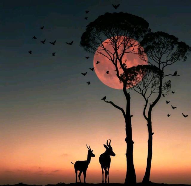 中年人生感悟的句子，字字千金，富含哲理！