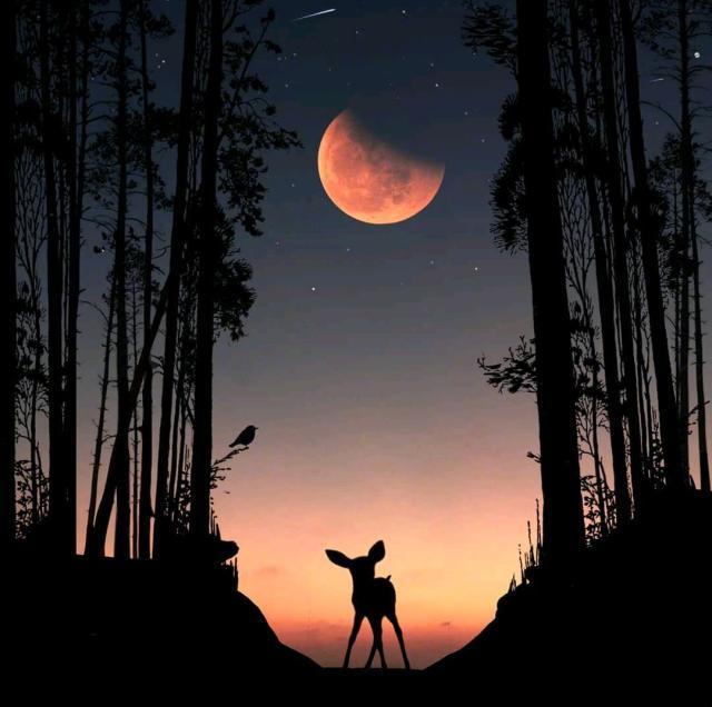 中年人生感悟的句子，字字千金，富含哲理！