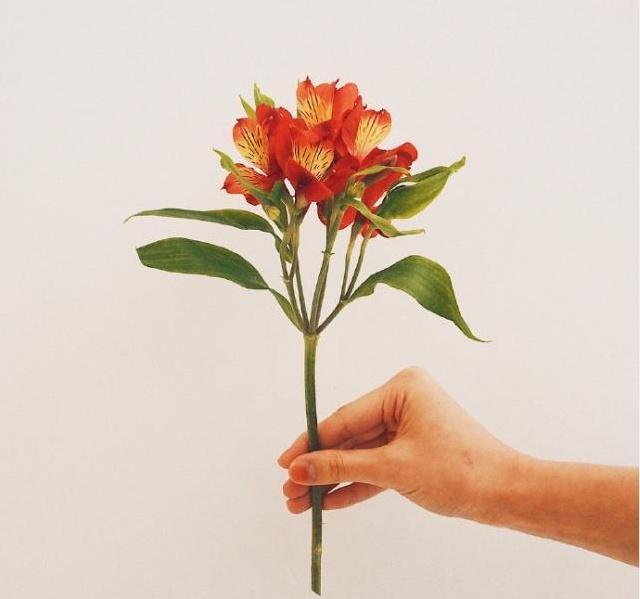 朋友过5.4青年节微信祝福留言，简短精悍，祝福满满！