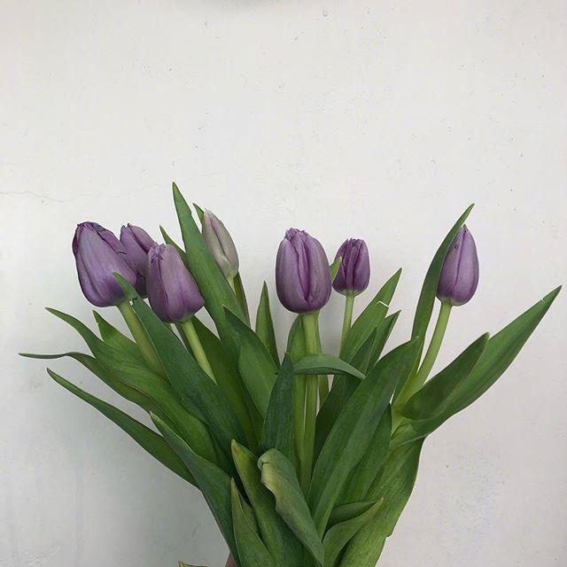 欢庆五一劳动节快乐问候语，发朋友圈人气超高！